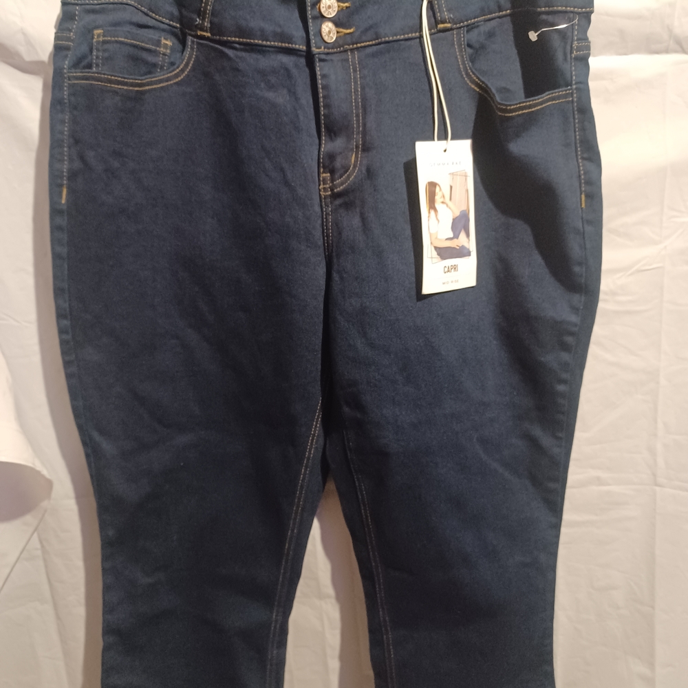 GEMMA RAE Women's Blue Jeans 16W (B)
